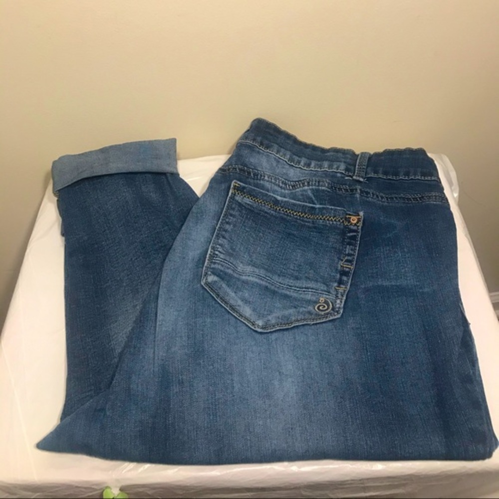 Indigo Rein Ankle Mid Wash Jean Size 22R